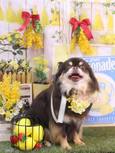 20240411フェルくん